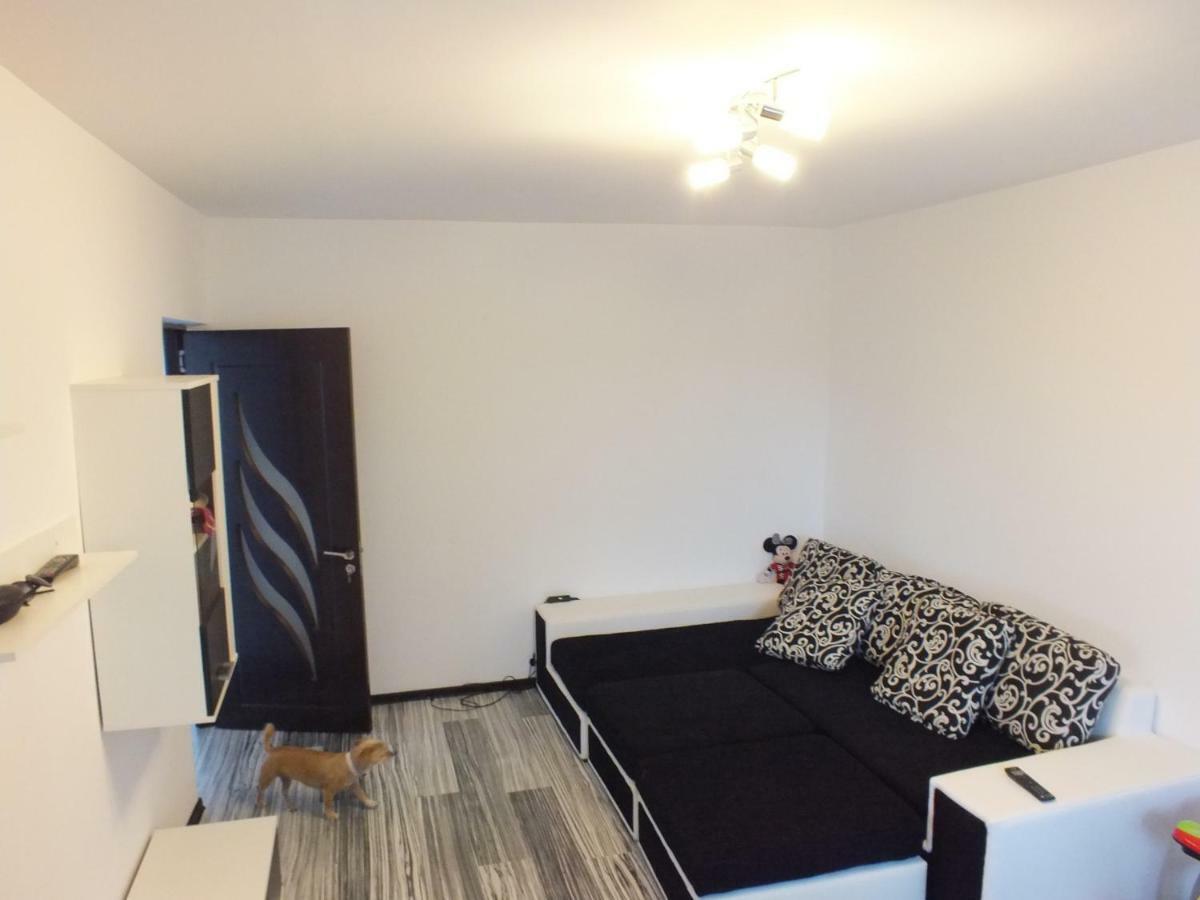 קונסטנצה Sophia Apartament מראה חיצוני תמונה